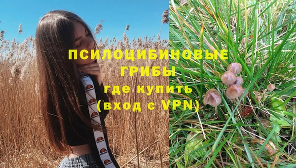 а пвп мука Медногорск
