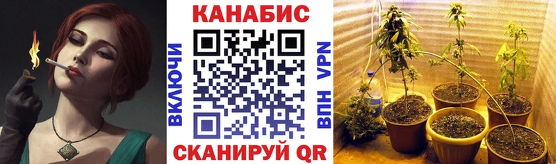 Шишки марихуана White Widow  hydra как войти  darknet как зайти  Дмитровск 